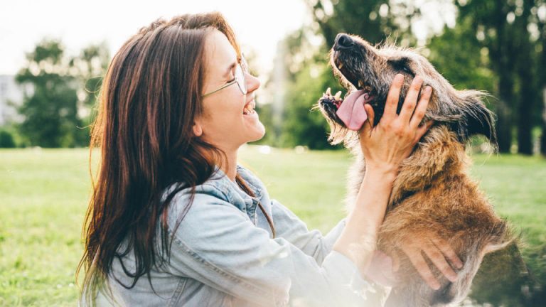 urnasdemascotas2_960x540