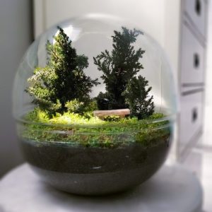 URNA TERRAQUIO MODELO BOSQUE